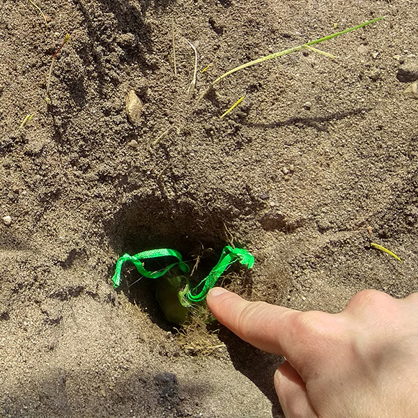 Naravni odganjalec krtov